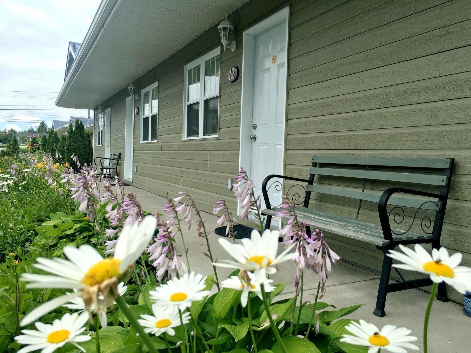 Motel Des Cedres แชร์บูร์ก ภายนอก รูปภาพ